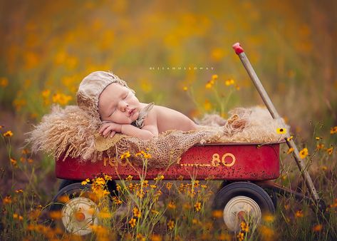 New Born and Children Portrait Photography by Lisa Holloway Outdoor Newborn Photos, Outdoor Newborn Photography, Newborn Photography Boy, Red Wagon, Childrens Photography, Pregnant Mom, Fall Baby, Newborn Photoshoot, Newborn Pictures