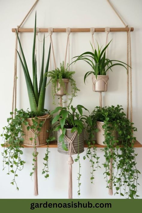 Keep your indoor plants thriving with these care tips. From watering schedules to lighting needs, this guide has you covered. Make plant care easy and enjoyable. Indoor Plants For Low Light, Plants For Low Light, Best Indoor Plants, Low Light Plants, Dark Corners, Light And Space, Low Light, Lush Green, Low Lights