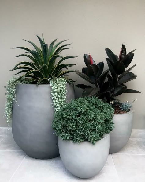 Pot Cluster, Home Backyard, Potted Plants Outdoor, Balcony Plants, Plant Supplies, Garden Pottery, Decor Flowers, Plant Decor Indoor, Outdoor Pots