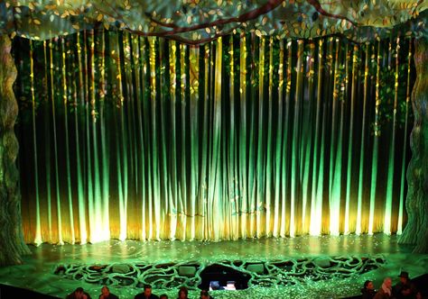 Curtain and "swamp," Shrek the Musical. | Flickr - Photo Sharing! Tarzan Musical, Musical Set Design, Voodoo Party, Shrek Musical, Shrek The Musical, Shrek Costume, Stage Designer, Set Design Theatre, Green Theme