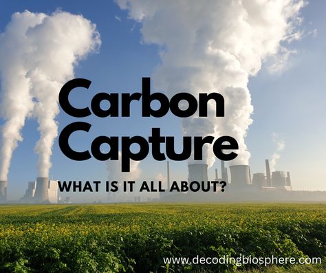 Carbon Capture: What is it all About? Carbon Capture, Microscopic Organisms, Biology Resources, Carbon Sink, Energy Resources, Fossil Fuels, Sustainable Future, Carbon Dioxide, Photosynthesis