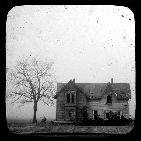 Vintage House Photography, Spooky Old House, Old House Photography, Old House Aesthetic, Violet Grohl, Ghost Film, Suburban Gothic, Drawing Elements, Creepy Old Houses