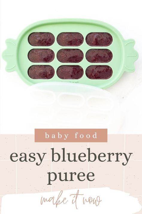 Blueberry puree is a quick nutritious homemade baby food you can make in minutes. Packed with antioxidants, enjoy it on it's own or offer it to you baby as part of a meal or snack. Blueberry Puree Recipe, Finger Foods For Babies, Blueberry Puree, Led Weaning First Foods, Baby Led Weaning Breakfast, Baby Purees, Recipes For Canning, Spoon Feeding, Foods For Babies