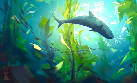 ArtStation - Kelp Forest Shark, Claire Lin Coral Reef Photography, Procreate Apple Pencil, Underwater Drawing, Apple Pencil Ipad, Kelp Forest, Underwater Art, Illustration Procreate, Forest Illustration, Nature Drawing