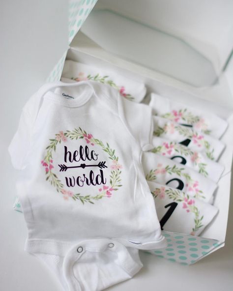 Monthly Onesies Girl, Milestone Onesies, Baby Clothes Onesies, Neuer Monat, Onesie Ideas, Monthly Onesies, Cadeau Baby Shower, Diy Bebe, Heat Protectant