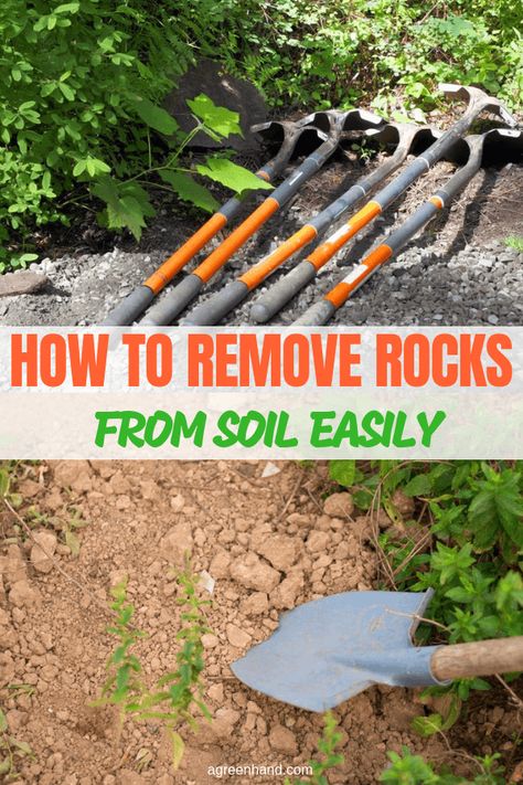 Rocks found in the soil can vary a lot in size, ranging from barely visible to dozens of kilos rocks. Removing them can be hectic but if proper tools and methods are used, it can be done much more easily. #removerockfromsoil #gardensoil #ageenhand Cool House Plants, Garden Soil Preparation, Tropical Orchid, Vegetable Garden Tips, Plant Cactus, Psychological Effects, Lawn Maintenance, Veg Garden, Gardening Diy