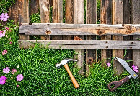 Did you know that repairing a damaged wood fence can extend its lifespan by years? Discover practical tips and tricks to restore your fence to its former glory. Don’t let a few worn boards ruin your outdoor space! Check out the full article on our blog for expert insights! Fence Repair, Wood Fences, Fence Pickets, Wooden Fence, Deck Ideas, Wood Fence, Home Maintenance, Tips And Tricks, Outdoor Space