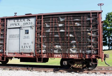 Central Valley, Lehigh Valley, Railroad Pictures, Rail Car, Model Train Scenery, Happy Trails, Railroad Photos, Rolling Stock, Box Car