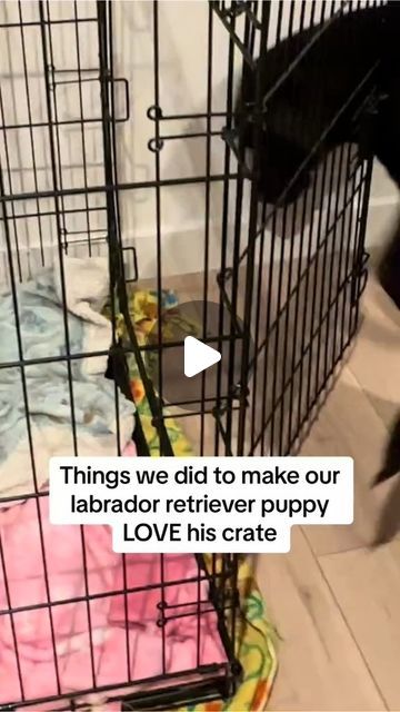 Puppy Setup Ideas, Puppy Tips Life Hacks, Puppy Set Up, Puppy Area Indoor Ideas, Puppy Crate Setup, Puppy Set Up Ideas, Lab Puppy Training Tips, Training A Labrador Puppy, Puppy Hacks