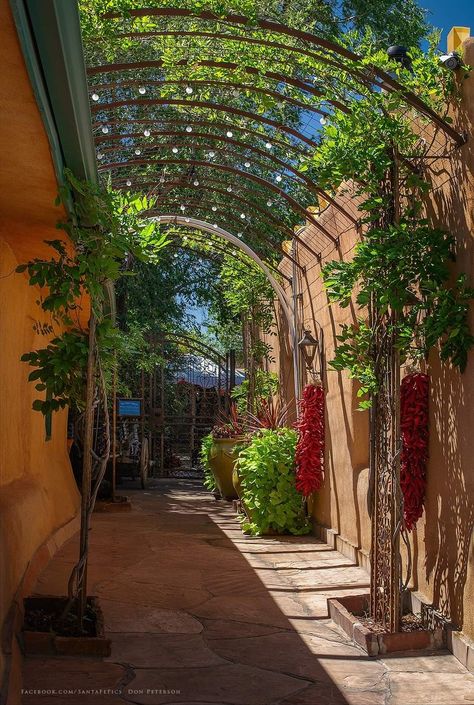 Inn of the Five Graces, Santa Fe, New Mexico New Mexico Aesthetic, Pueblo Revival, Santa Fe Style Homes, New Mexico Style, New Mexico Santa Fe, New Mexico Homes, Santa Fe Plaza, Spanish Conquistador, Mexico Style