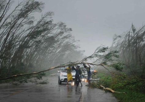 The wildest weather – in pictures | Children's books | The Guardian Cyclone Images, Tsunami Image, Wild Weather, Book Sites, Her Book, Types Of Lettering, Water Temperature, Her. Book, The Science