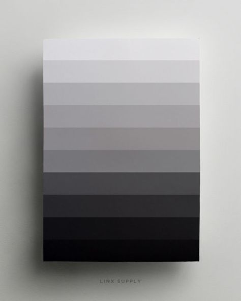 Monochrome Pallet, Interactive Resume, Monochrome Colour Palette, Monochrome Color Scheme, Black And White Color Palette, Monochrome Poster, Black And White Palette, Monochrome Posters, Flat Color Palette