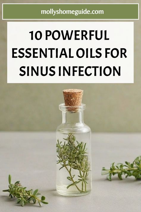 Discover natural relief for sinus infections with the power of essential oils. From eucalyptus and tea tree to oregano and rosemary, learn how these top 10 essential oils can help clear sinuses and ease discomfort. Embrace holistic healing techniques by incorporating the best essential oils into your routine to treat sinusitis effectively. Find out how to use essential oils for sinus infection with our essential oil based remedies that target congestion and promote overall well-being. Recipes For Sinus Infection, Essential Oils For Sinus Relief, Doterra Oils For Sinus Infection, Oil For Sinus Infection, Doterra Essential Oils Sinus Bomb, Tincture For Sinus Infection, Natural Remedies For Sinus Pressure, Eo For Sinus Infection, Essential Oil For Sinus Infection