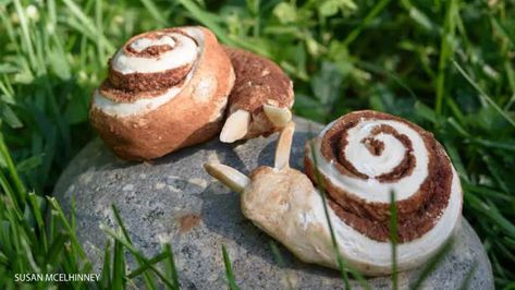 Cinnamon-Snail Snacks - NWF | Ranger Rick Cinnamon Snails Recipe, Snails Recipe, Ranger Rick, Food O, Bread Dough, Cinnamon Sugar, Cookie Sheet, Tea Room, Melted Butter