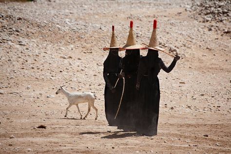 Avantgardens. Goat herders near Shibam, Yemen. Three women dressed in black abayas and shielded from the hot desert sun in wide-brimmed straw hats called nakhls, and even gloves, tend goats near Shibam, Yemen, on the edge of the Arabian Peninsula's Rub al Khali, or Empty Quarter, the largest contiguous sand desert in the world.  Photo: Peter Menzel / menzelphoto.com / via Abejzbejz Cool Pictures To Draw, Yemen Women, Goat Herder, Female Goat, Deserts Of The World, Black Mage, Hot Desert, Wide Brim Straw Hat, Desert Sun