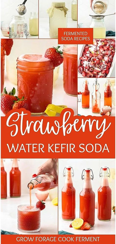 Join the healthy soda revolution with our Strawberry Water Kefir, a standout in our Fermented Soda Recipes & Kombucha board. This homemade drink offers a sparkling, probiotic alternative to commercial sodas, with the added sweetness of strawberries. Perfect for those exploring fermented drinks, it's a delicious way to support gut health. Find more fermentation for beginners, home brewing recipes, and healthy drinks recipes at growforagecookferment.com. Fermented Soda, Kefir Soda, Flavor Water, Low Sugar Drinks, Fermented Drinks, Mead Recipe, Strawberry Water, Healthy Soda, Homemade Kombucha