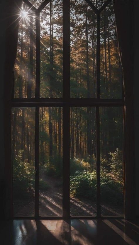 Foggy Window Flower Wallpaper, Wald Wallpaper, Paradis Sombre, Forest Window, Window Wallpaper, Window Background, Arte Indie, Forest Photos, Montage Photo