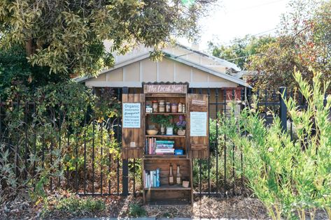 ‘People want to reclaim something pure’: the rise of the urban honesty stall | Australian lifestyle | The Guardian Calming Food, Australian Lifestyle, Australian Country, Rainbow Chard, Front Fence, Supermarket Shelves, Farm Stand, Private Property, Urban Area