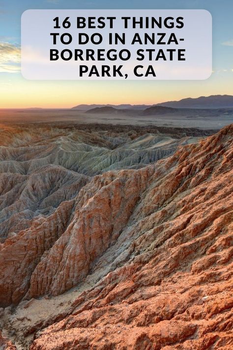 Discover the best things to do and top-rated attractions in Anza-Borrego State Park, CA, including Galleta Meadows, Palm Canyon Oasis, Desert Gardens, and more! Anza-borrego Desert State Park, Colorado Desert, Anza Borrego State Park, Desert Gardens, Palm Canyon, Borrego Springs, Anza Borrego, Desert Garden, Historical Landmarks