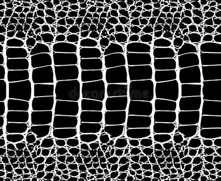 Snake Skin Pattern Texture Repeating Seamless Monochrome Black & White. Vector. Texture Snake. Fashionable Print Stock Vector - Illustration of drawing, graphics: 87491924 Cobra Painting, Snake Sketch, Vector Texture, Snake Skin Pattern, Snake Pattern, Skin Pattern, Animal Prints Pattern, Pattern Texture, Snake Patterns