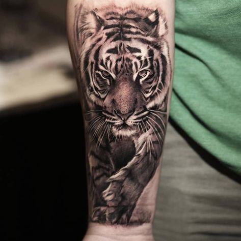 Tiger Forearm Tattoo, Mens Tiger Tattoo, Shine Tattoo, Japanese Tiger Tattoo, Tiger Tattoo Sleeve, Lion Tattoo Sleeves, Wolf Tattoo Sleeve, Tiger Tattoo Design, Wrist Tattoos For Guys