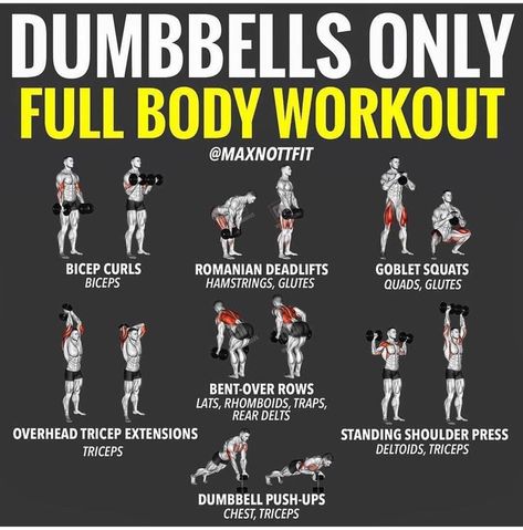 (paid link) Workout Plan for Men Routines for Men: The Ultimate Guide  Wellness Topics  Fitness Best Home Dumbell Workout, At Home Workouts For Men Dumbbells, Dumbell Home Workout For Men, Dumbbells Only Workout, Weight Training With Dumbbells, Home Workouts For Men Dumbell, Workout With Dumbbells Men, Home Dumbell Workout Men, Men’s Dumbbell Workout