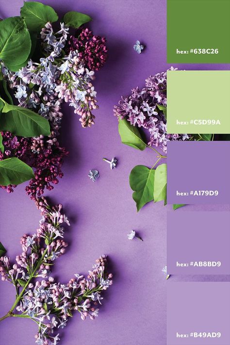 Purple Green Color Palette, Lime Green Outfits, Lavender Color Scheme, Lavender Color Palette, Pantone Green, Purple And Green Wedding, Green Branding, Green Color Palette, Pantone Colour Palettes