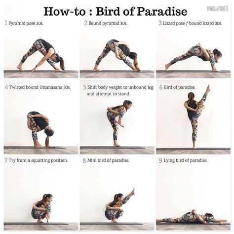 Yoga Alignment Tips&Tutorials on Instagram: “🐥 #SvargaDvijasana ↔ #ParadiseTwiceBorn Pose or #BirdofParadisePose on 👉@yogaalignment with @pinkchampagne13 ・ ・ ・ #ImproveYourPractice . .…” Bird Of Paradise Yoga, Yoga Alignment, Daily Flow, Yoga Ideas, Yoga Daily, Yoga Nature, Yoga Vinyasa, Morning Yoga Routine, Yoga Breathing