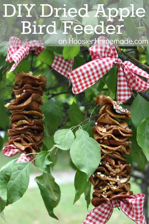 DIY Dried Apple Bird Feeder :: Easy and a great project to do with the kids :: Instructions on HoosierHomemade.com #Apples #Crafts Apple Bird Feeder, Feed The Birds, Homemade Bird Feeders, Diy Bird Feeder, Diy Birds, Outdoor Crafts, Dried Apples, Bird Food, Bird Seed