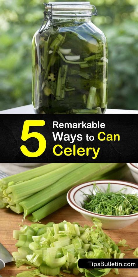 Discover how to can celery rather than dehydrate your veggies to make celery soup and condiments. Slice fresh celery and process them in canning jars in a pressure cooker or a water bath canner. Make cream of celery soup or quick pickles to eat throughout the year. #howto #celery #canning Pickled Celery, Celery Recipes, Healthy Nutrition Plan, Canning Vegetables, Cream Of Celery, Cream Of Celery Soup, Celery Soup, Brown Spots Removal, 140 Pounds