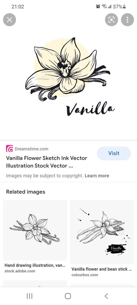 Vanilla Tattoo, Vanilla Flower, Lotus Flower Tattoo, Flower Tattoos, Flower Tattoo, Tatting, Vanilla, Tattoos, Flowers