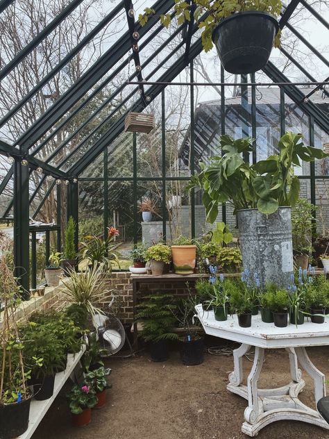 Plant Nursery Ideas Greenhouses, Plant Nursery Aesthetic, Plant Nursery Ideas, Plant Aesthetics, Farm Nursery, Green Things, Plant Shop, Starter Plants, High School Art