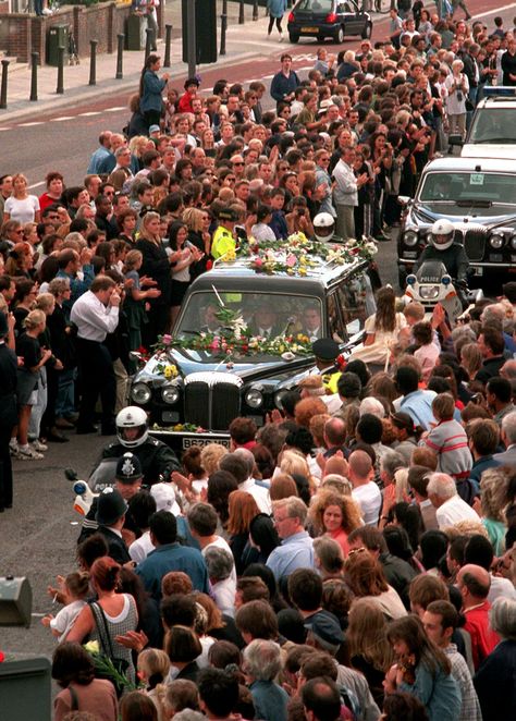 People With Hiv, Majestic Horse, Lady Diana Spencer, Diana Spencer, Princesa Diana, Save The Queen, Westminster Abbey, British Royalty, Hyde Park