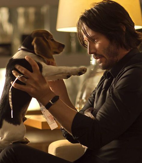 John Wick 2014, Keano Reeves, John Wick Movie, Keanu Reeves John Wick, National Puppy Day, Puppy Day, Keanu Charles Reeves, The Boy Next Door, Beagle Dog