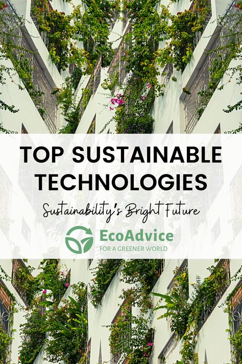 The future is looking bright for sustainability—not only for the world, but for business. Discover these top sustainable technologies. With these inventions, we can experience a better and a more comfortable future. And our planet will surely thank us! #sustainable #sustainabletechnologies #technologyrocks #sustainabletechnology #ecofreiendlylifestyle #green #healthyliving #healthyoptions #ecoadvice #ecofriendly #SustainableLifestyle Sustainability Consulting, Corporate Sustainability, Be More Sustainable, Sustainable Technology, University Courses, Net Zero, Business Models, Technology Industry, Green Business