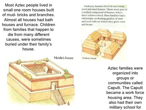 aztec houses Inca Architecture, Mesoamerican Architecture, Aztec Architecture, One Room Houses, Aztec City, Aztec House, Native Mexican, Ancient Aztecs, Floating Garden