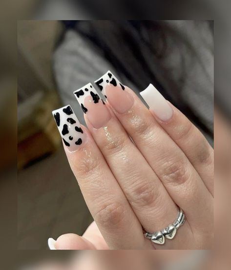 Multicoloured Nails, Country Acrylic Nails, Nails Hacks, Black Nail Ideas, Rodeo Nails, Cowboy Nails, Cute Fall Nails, Cow Print Nails, Home Gel Nails