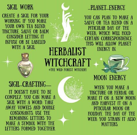 Properties Of Herbs Witchcraft, Witchy Intentions, Green Witch Spells, Herbs Every Witch Should Have, Motivation Herbs Witchcraft, Herb Associations Witchcraft, Moon Herbs, Herb Witch, Tarot Business