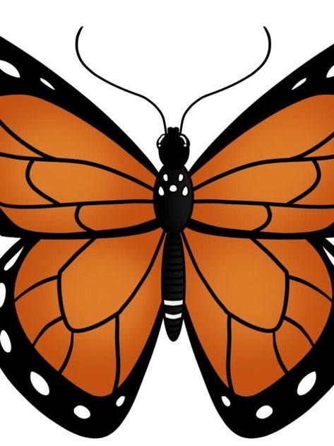 Easy Monarch Butterfly Drawing Tutorial - Easy Drawing Guides Draw A Monarch Butterfly, Butterfly Drawing Tutorial, Monarch Butterfly Drawing, Drawing Purple, Easy Drawing Guides, Drawing Guides, Draw Two, Butterfly Drawing, Drawing Tutorial Easy