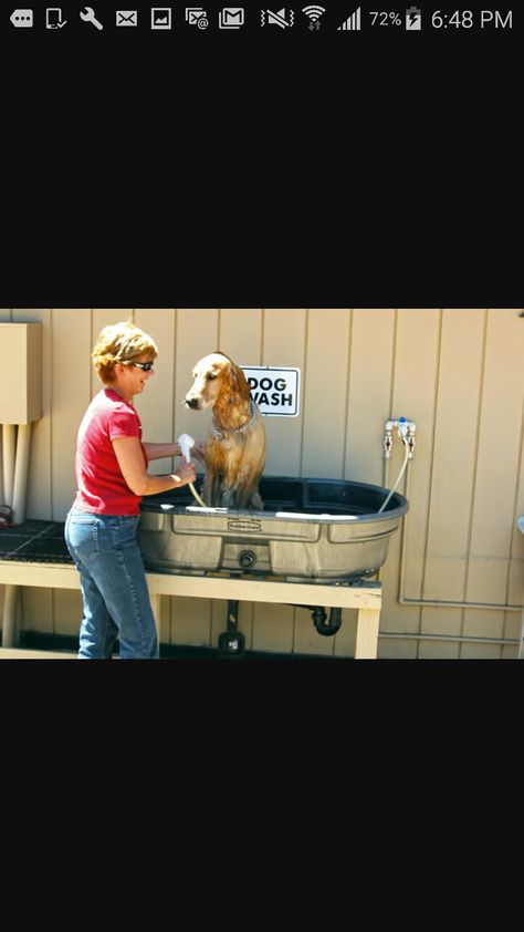 Dog Baths, Dog Tub, Upcycle Wood, Wash Station, Diy Pet Bed, Grooming Business, Diy Dog Kennel, Dog Washing Station, Outdoor Sinks