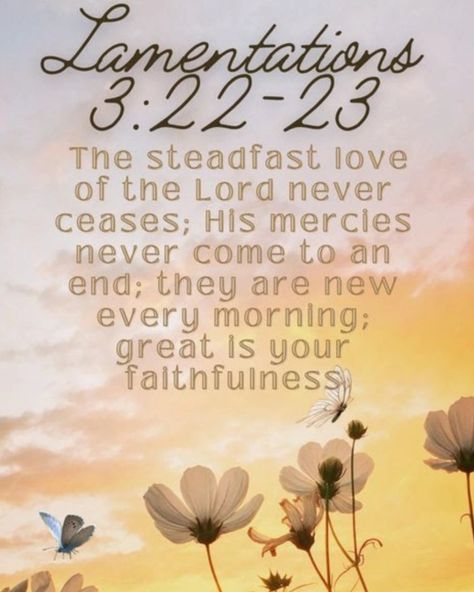 Lamentations 3:22-23  The steadfast love of the Lord never ceases; His mercies never come to an end; they are new every morning; great is your faithfulness Lamentations 3:21-23, Lamentations 3:22-23 Wallpaper, Lamentations 3:22-23, Steadfast Love Of The Lord, Christian Pics, Lamentations 3 22 23, Great Is Your Faithfulness, New Every Morning, Church Bulletin