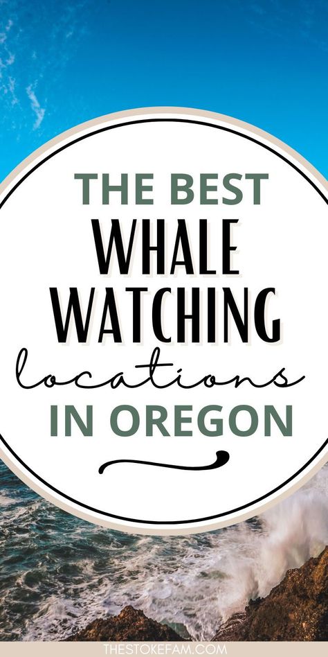 Planning an Oregon Coast roadtrip and hoping to see some whales? These are the best spots (like Depoe Bay!) to spot these amazing wildlife creatures in the wild! Whether you're looking for Orca Whales or Humpbacks, these are the spots you'll want to visit! Whale Watching Oregon Coast, Brandon Oregon, Oregon Coast Roadtrip, Western Vacation, Depoe Bay Oregon, Oregon Adventures, Oregon Coast Vacation, Washington Trip, Kids Travel Activities