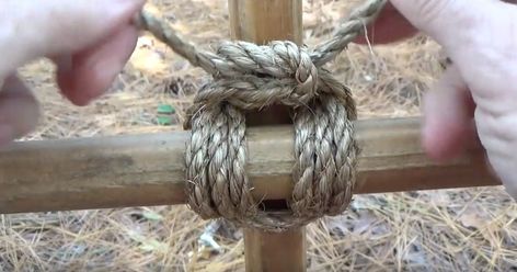 Always tie a square knot correctly with this tip Square Lashing, Karate Belt Display, Reef Knot, Belt Display, Knots Guide, Wooden Trellis, Bamboo Trellis, The Knack, Knots Diy