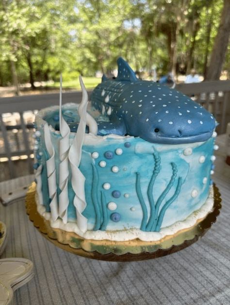 Shark Birthday Cakes, Ocean Birthday Party, Ocean Cakes, Shark Themed Birthday Party, Shark Cake, Ocean Birthday, Cute Baking, Cute Shark, Shark Party