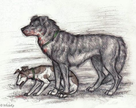 Plague dogs by WhiteK9 on Devianart  SOOOO BEAUTIFUL Plague Dogs, Dog Movies, Watership Down, The Plague, Pipe Cleaner, Art References, Cartoon Character, Animated Movies, Dog Art