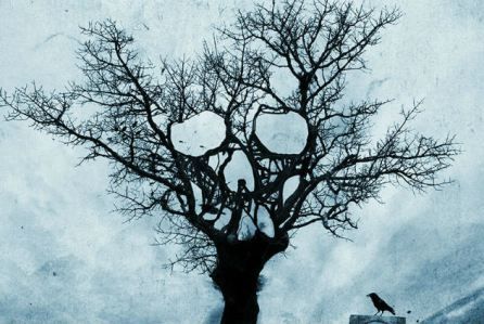 Tales of Halloween horror anthology coming next Halloween with 11 hot directors Halloween Cast, Max Dennison, Tales Of Halloween, Movie Directors, Gothic Design, Rocky Horror Picture Show, Halloween 2015, Rocky Horror Picture, Gothic Halloween