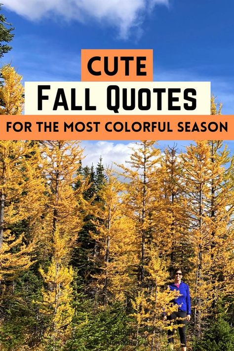 Fall Quotes And Sayings Instagram, Fall Colors Quotes, Autumn Quotes Short, Autumn Instagram Captions, Short Fall Quotes, Cute Fall Quotes, Sunny Day Quotes, Colorado Quotes, Quotes About Fall