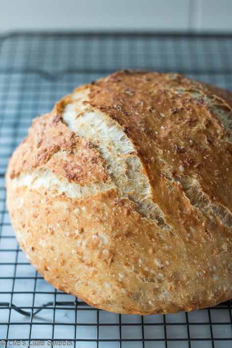 Gluten Free Sourdough Bread Recipe, Oatmeal Bread Recipe, Oat Bread Recipe, Gluten Free Sourdough Bread, Oatmeal Flour, Peasant Bread, Knead Bread Recipe, Oatmeal Bread, Gluten Free Sourdough