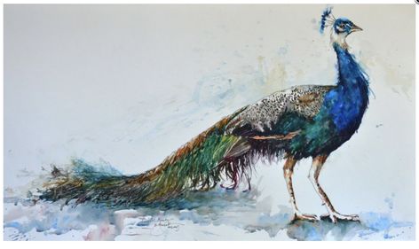 Watercolor Scenery Painting, Peacock Paintings, Peacock Pictures, Watercolor Scenery, Figure Sketches, Beach Art Painting, Human Figure Sketches, Scenery Painting, Boho Art Drawings