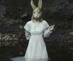 Rabbit Mask, Bunny Mask, Short Skirt, We Heart It, Lost, Mask, Water, On Instagram